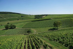 Au pied des Vignes